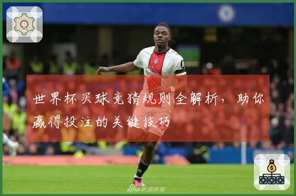 世界杯买球竞猜规则全解析，助你赢得投注的关键技巧