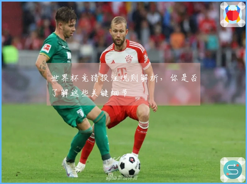 世界杯竞猜投注规则解析，你是否了解这些关键细节