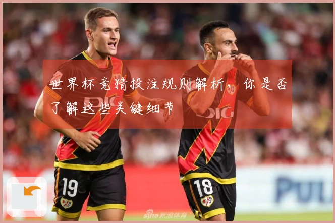 世界杯竞猜投注规则解析，你是否了解这些关键细节