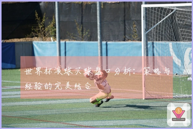世界杯滚球买球盘口分析：策略与经验的完美结合