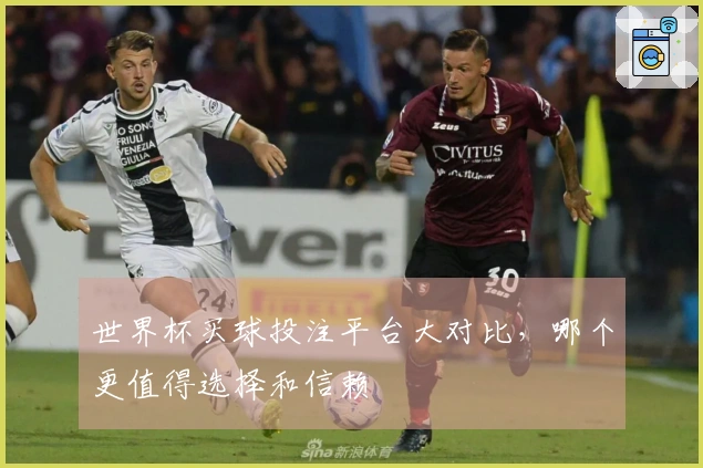 世界杯买球投注平台大对比，哪个更值得选择和信赖