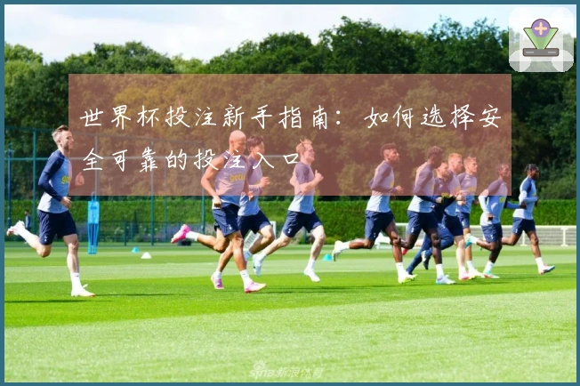 世界杯投注新手指南：如何选择安全可靠的投注入口