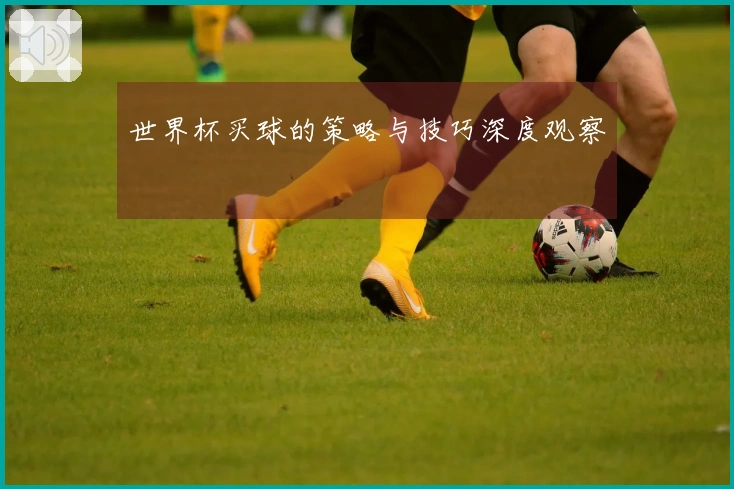 世界杯买球的策略与技巧深度观察