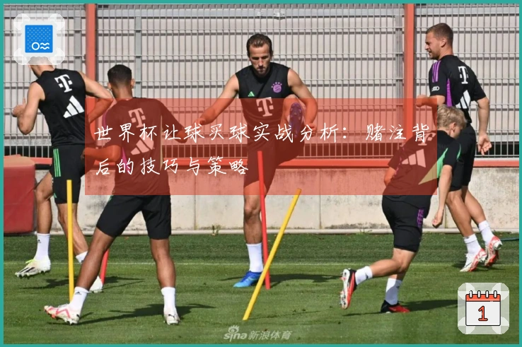 世界杯让球买球实战分析：赌注背后的技巧与策略