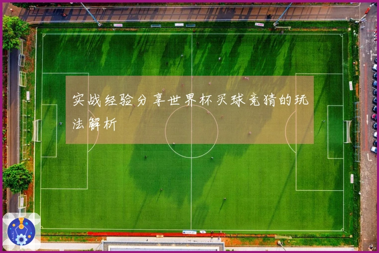 实战经验分享世界杯买球竞猜的玩法解析